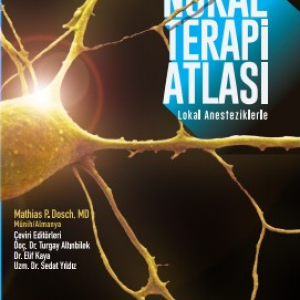 Noral Terapi Derneği